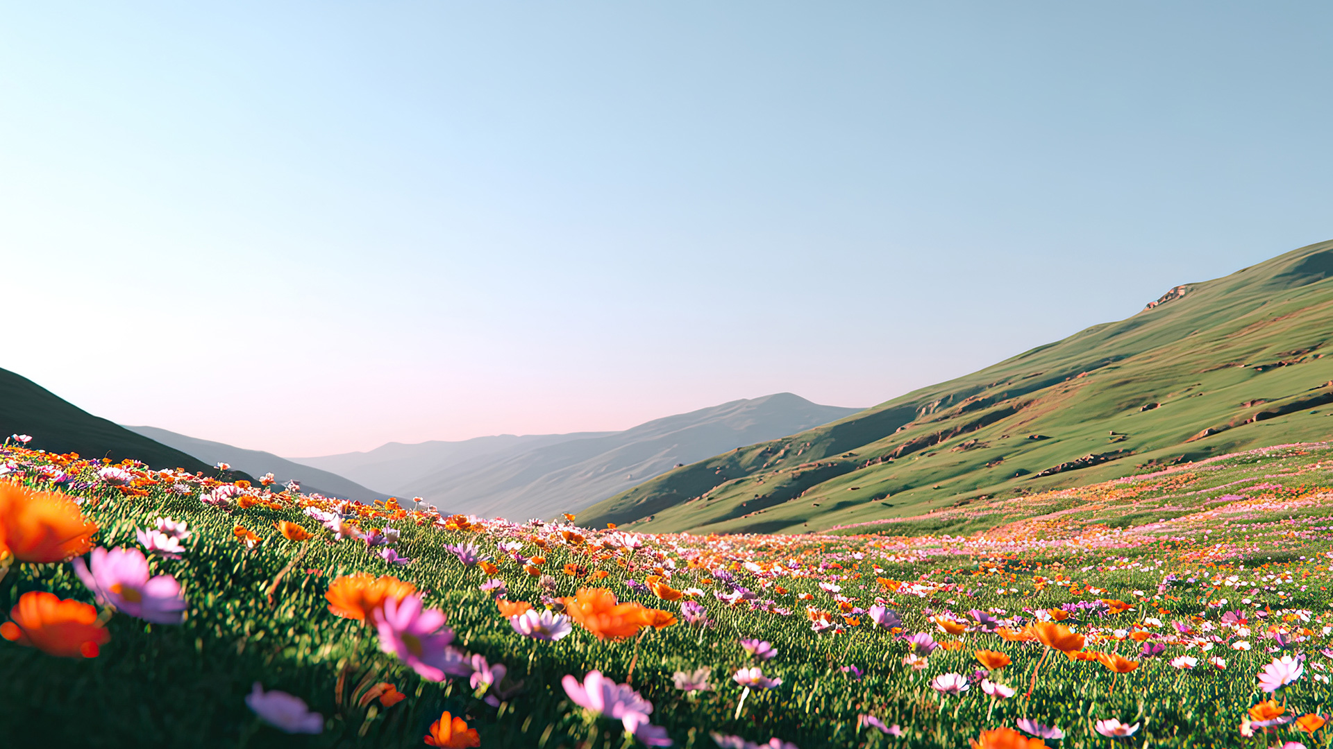 Campo di vivaci fiori selvatici con fioriture rosa, arancioni e viola che si estendono su colline verdi sotto un cielo azzurro e limpido.